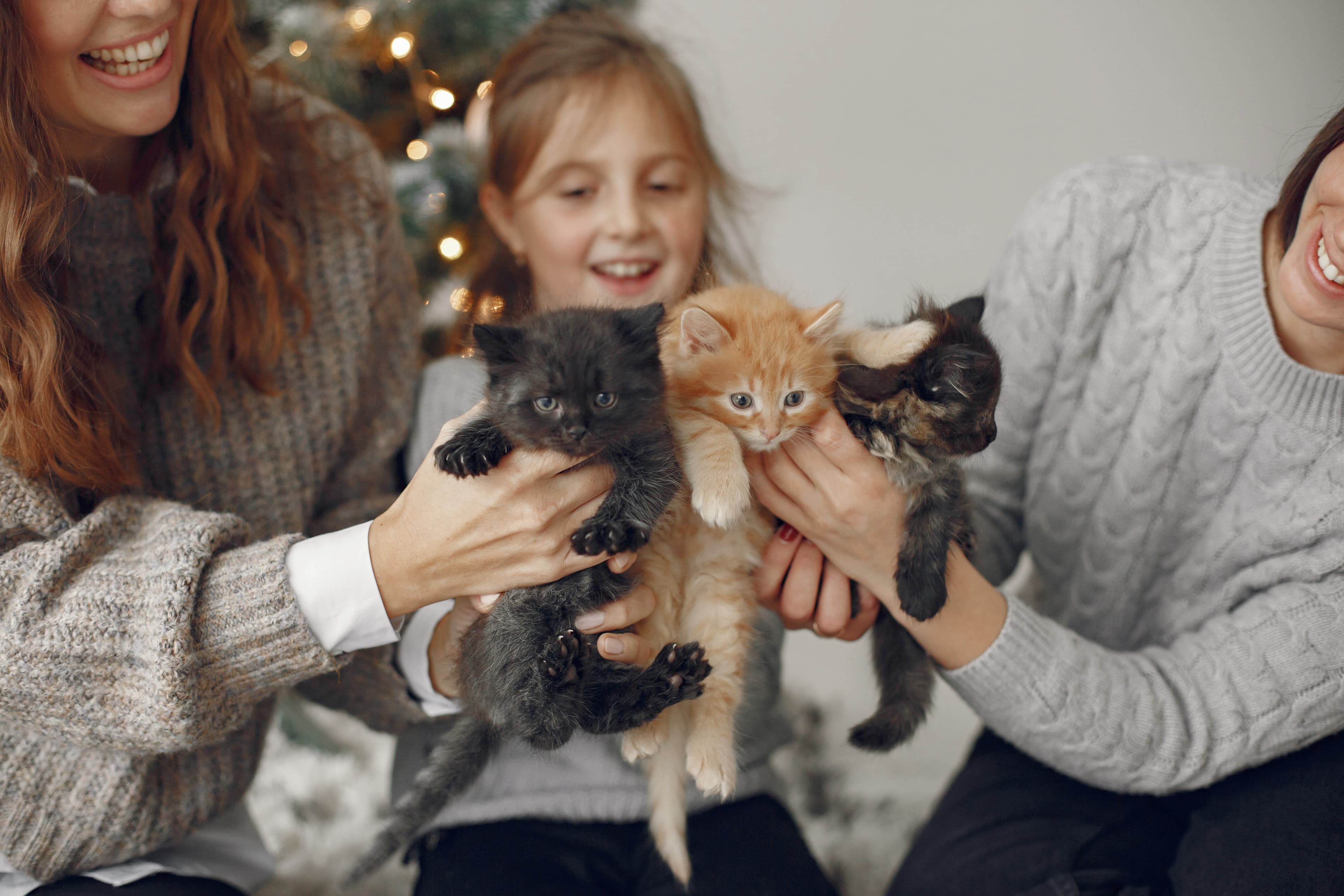 Parenting & Care