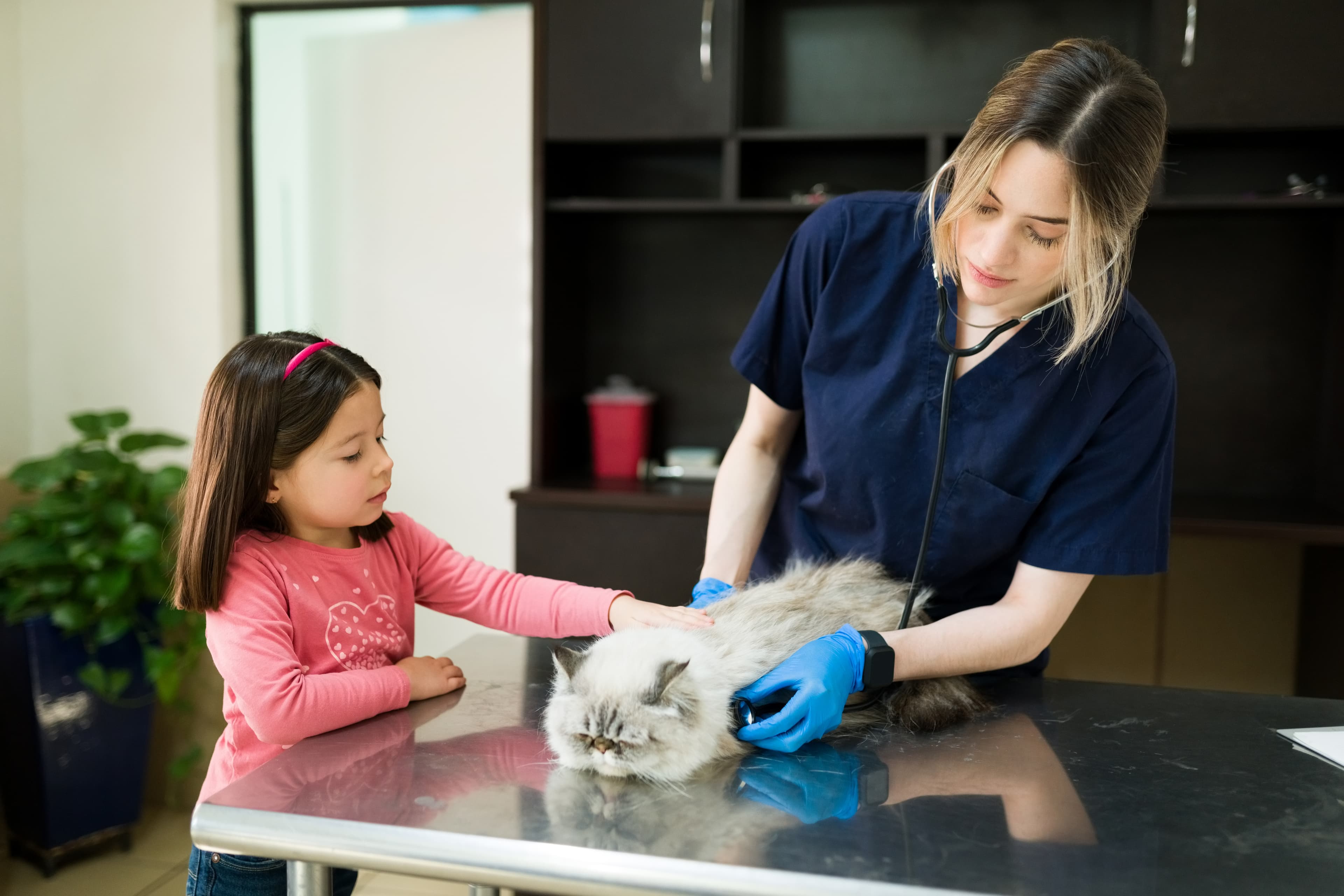 Vet clinic